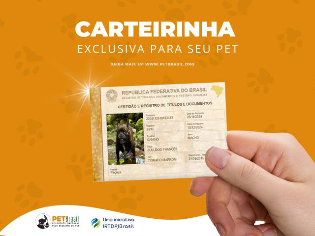 Carteirinha para animais domésticos registrados em cartório já está disponível na Central ONRTDPJ