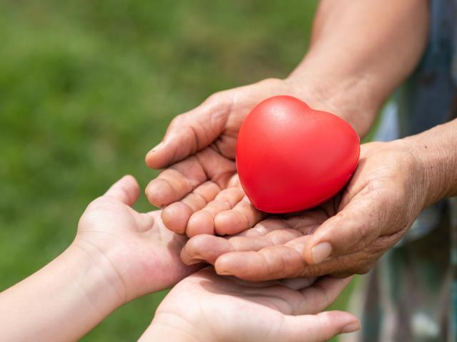 Cartórios podem destinar parte do Imposto de Renda devido a projetos sociais